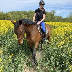 Loudelangle, Home sitter Billy-Berclau France | 9