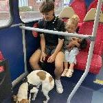 Roubinette, Home sitter Corbara France | 9