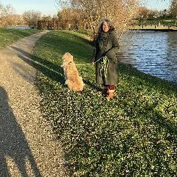 verov Fontenay-sous-Bois France