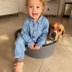 Roubinette, Home sitter Corbara France | 7