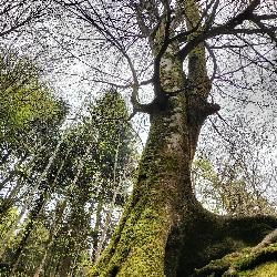 Sofiak, Home sitter Embrun France | 4