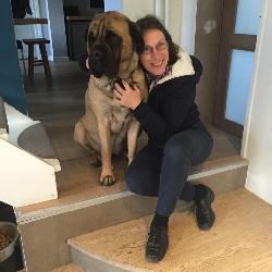yvan Brussels Belgium