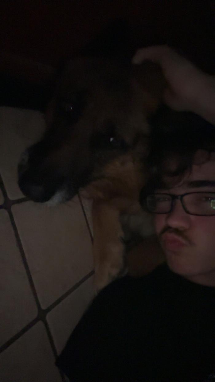 house sitter, Belgium, Leuze