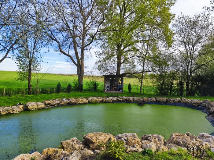 Home sitting Neuville-sur-Brenne, France