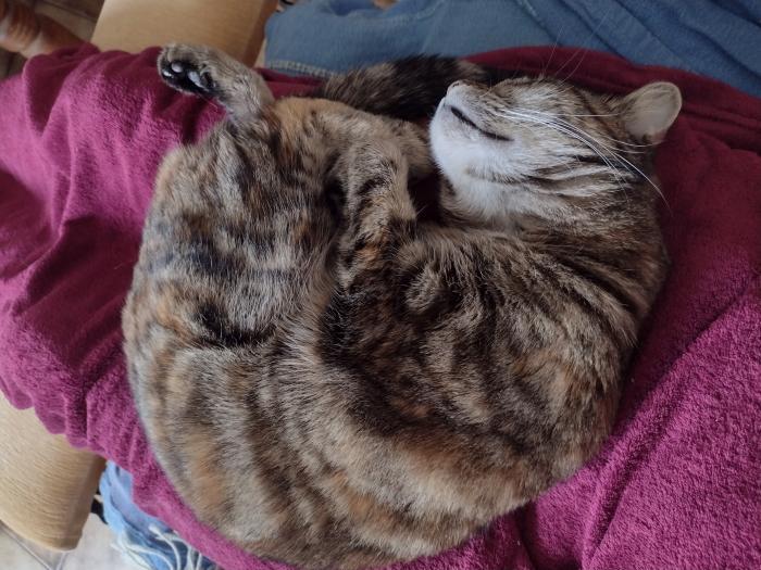 Home sitting Rez&eacute;, France