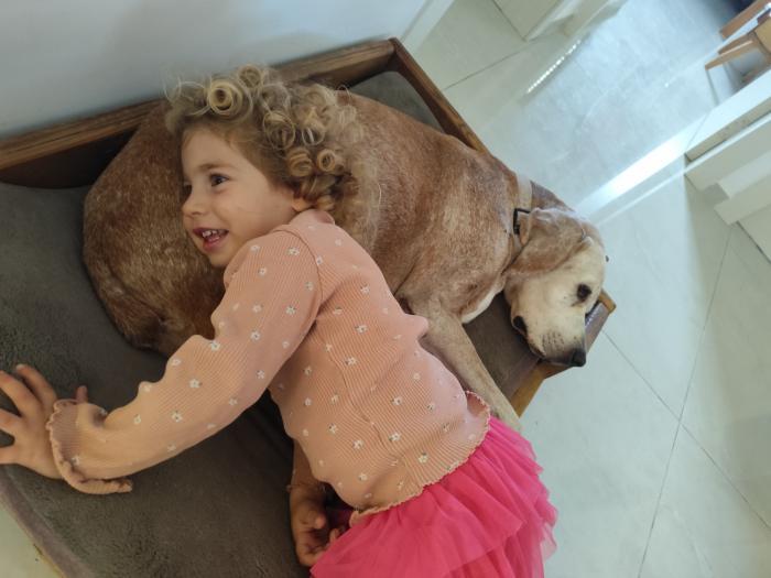 Home sitting Hadera, Israel