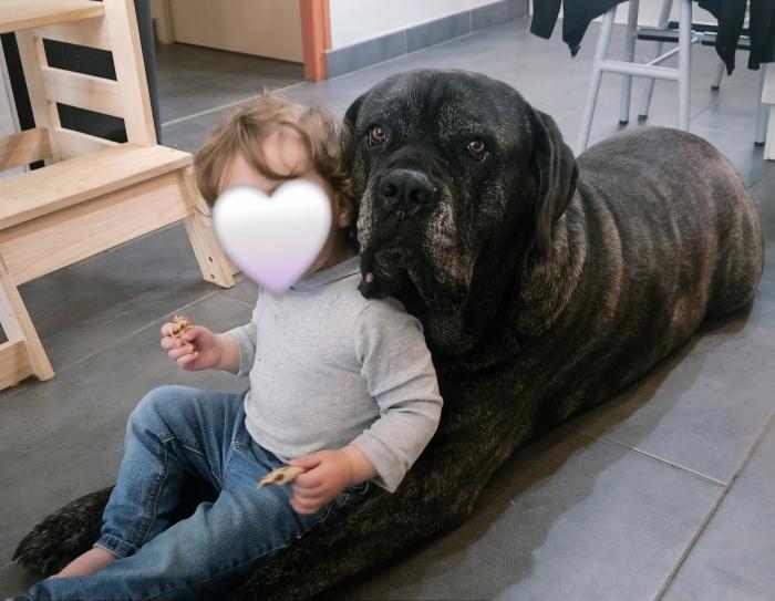 Home sitting Bourbonne-les-Bains, France