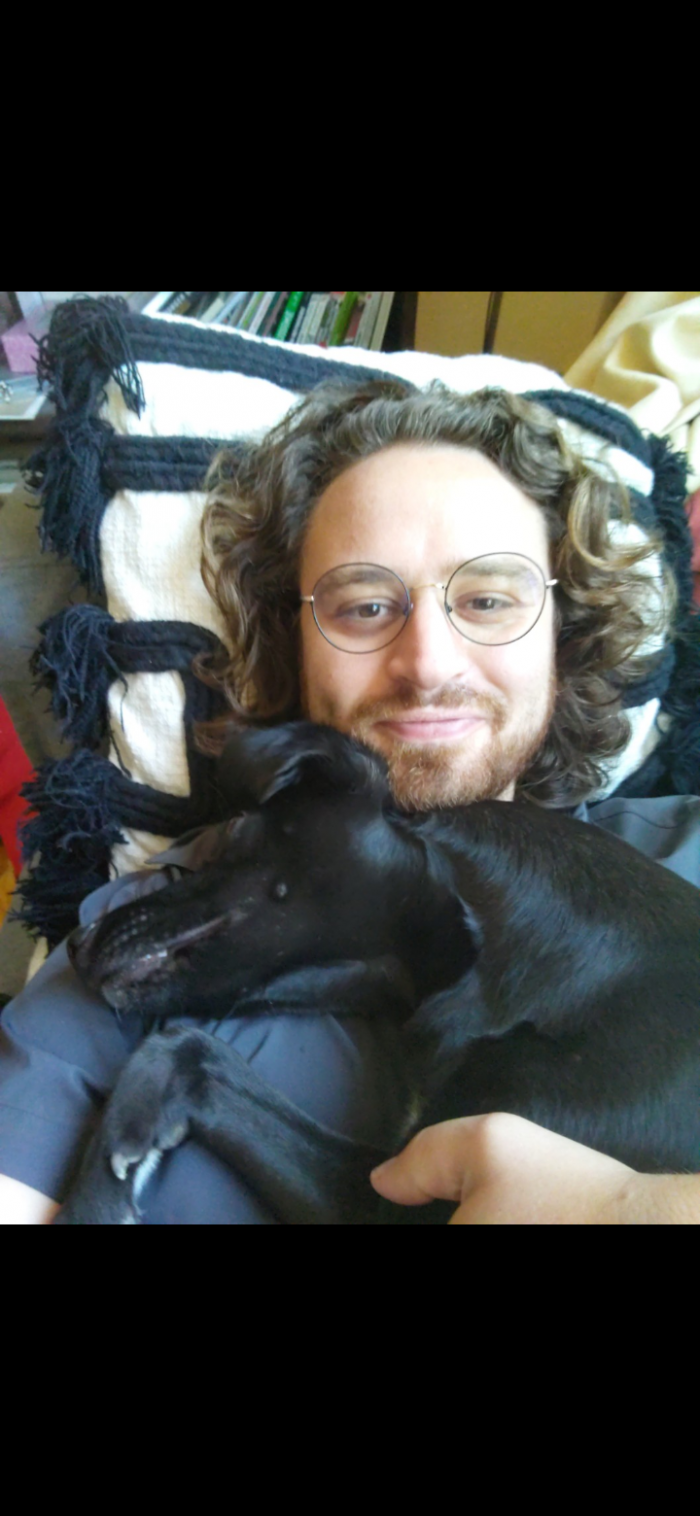 house sitter, Belgium, Brussels