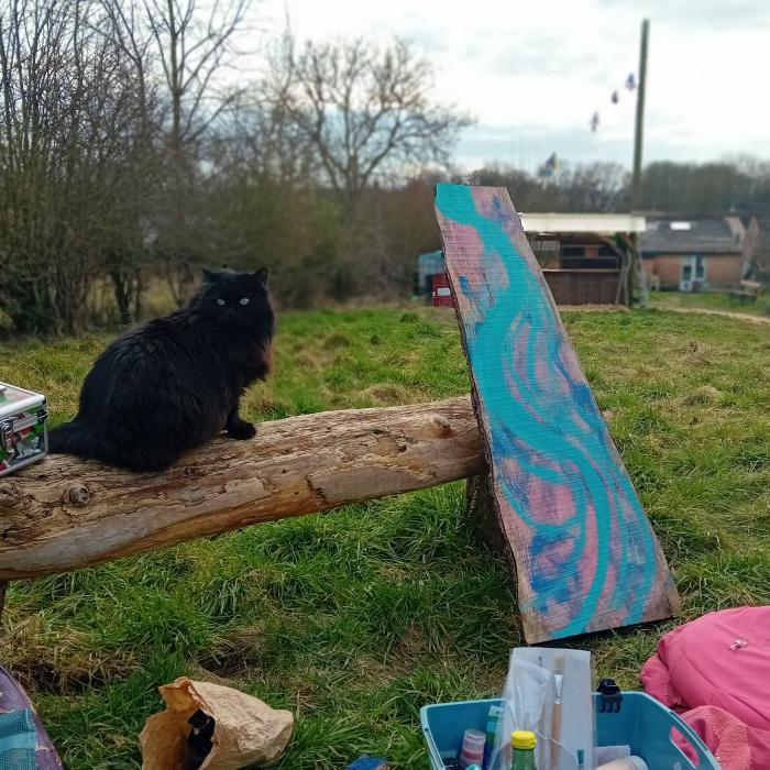 house sitter, Belgium, Wavre