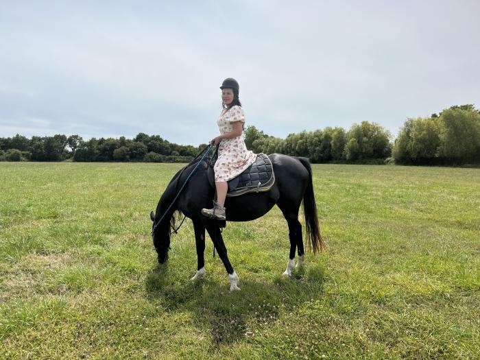 Home sitting Saint-Brieuc, France