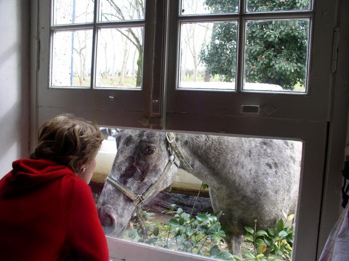 Home sitting Fieux, France