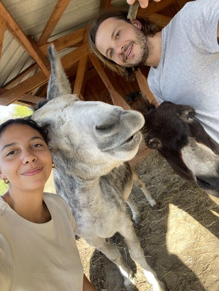 Home sitting Rennes, France