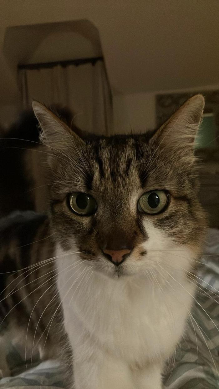 Home sitting Treuzy-Levelay, France