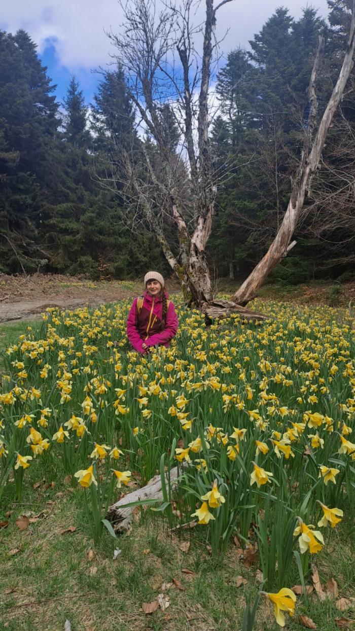 Home sitting Caen, France