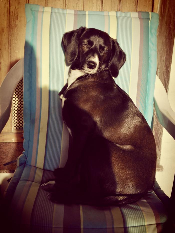 Home sitting Alba, Italy