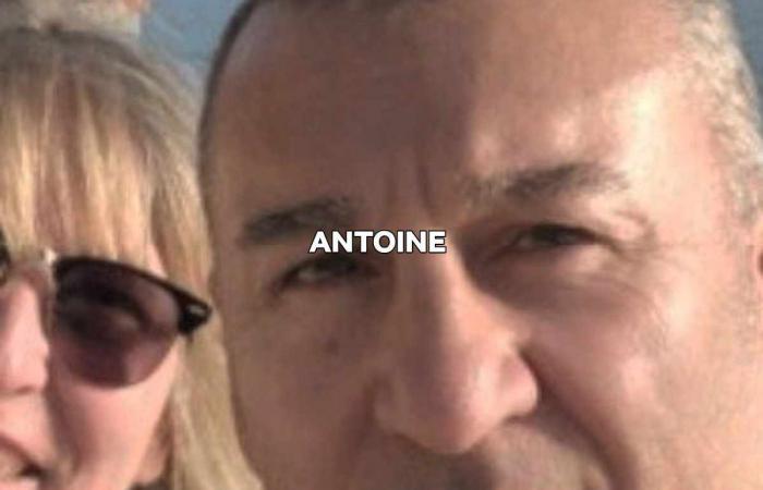 house sitter, France, Ternay