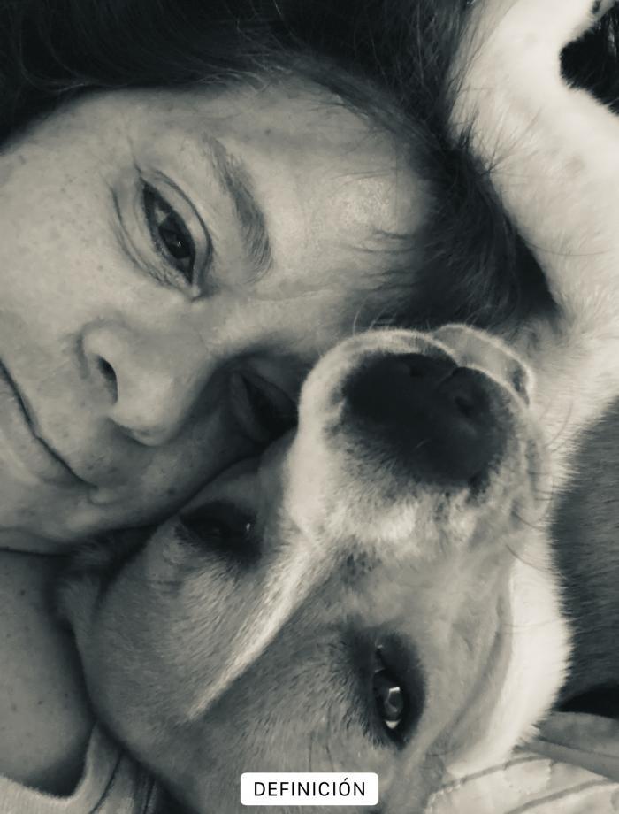 house sitter, Peru, Miraflores District