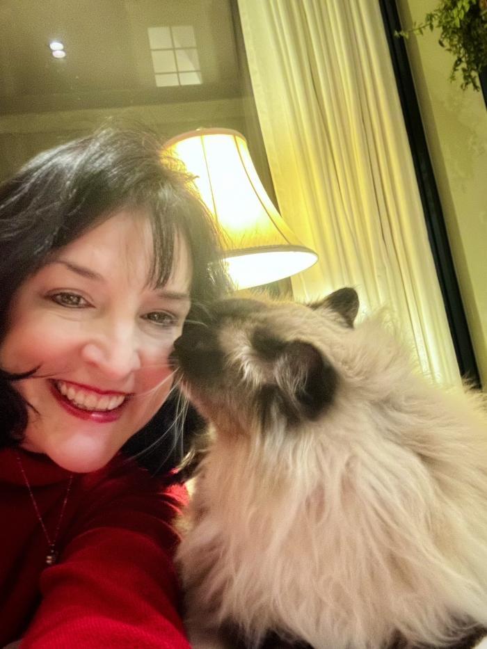 Home sitting Annandale, United-States