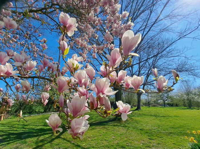 home sitting, France, Cartignies