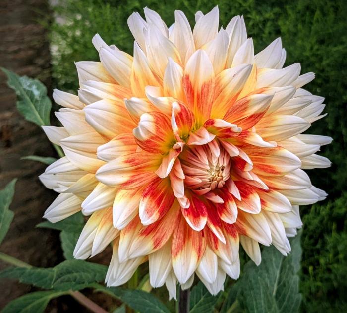 Home sitting Cr&eacute;teil, France