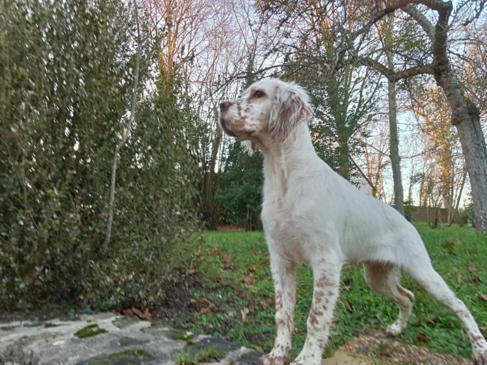 Home sitting Bavent, France