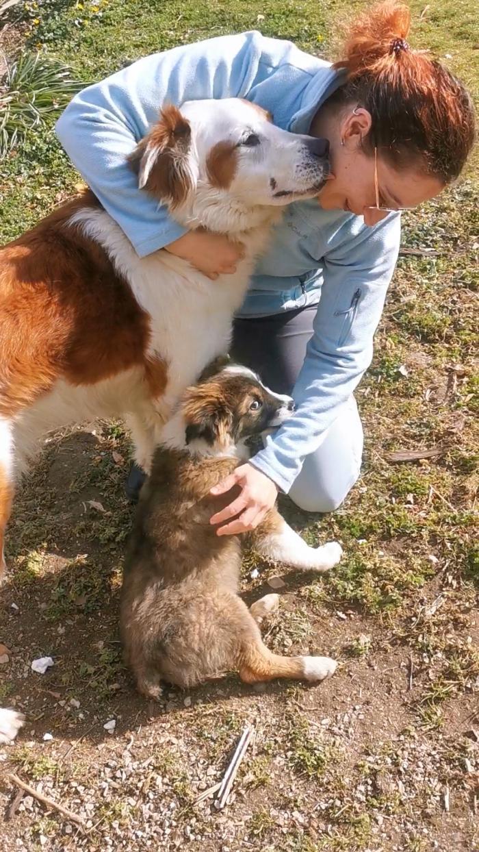 Home sitting Toulouse, France