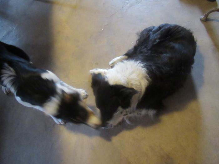 Home sitting Le Thor, France