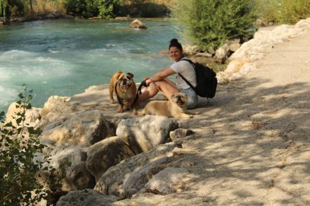 Home sitting Plan-d'Orgon, France