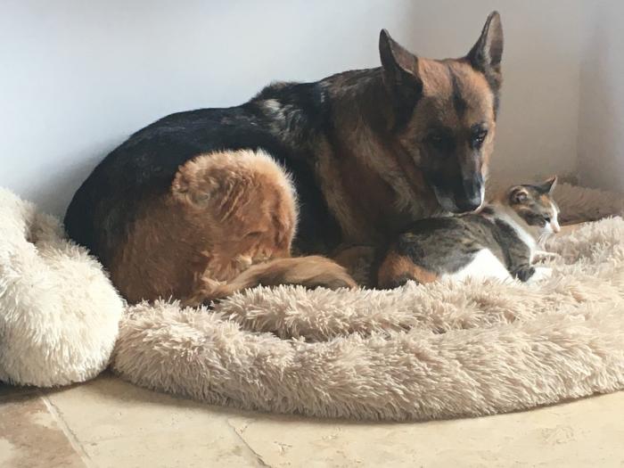 Home sitting Caylus, France