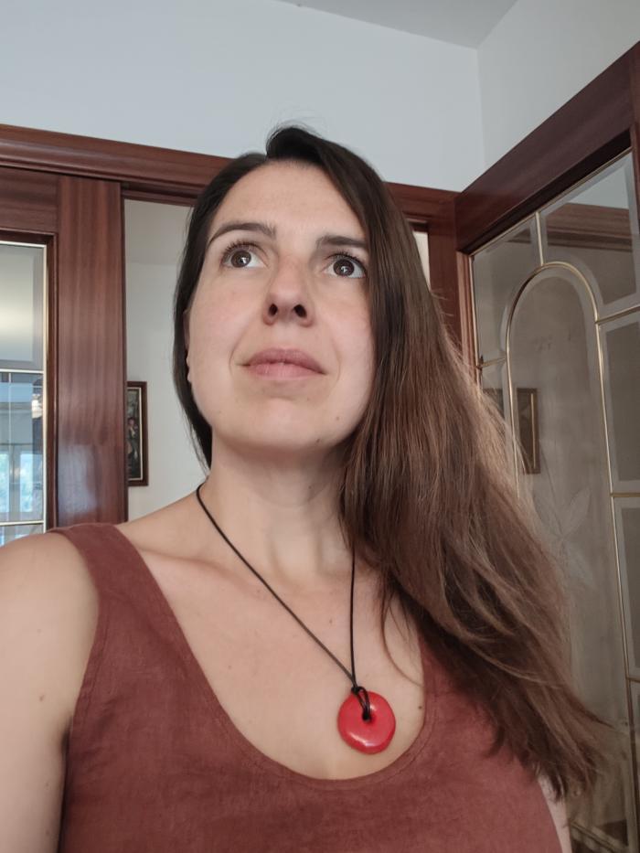 house sitter, Spain, Zaragoza