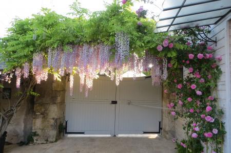 Home sitting Montlouis-sur-Loire, France