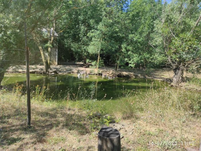 home sitting, France, Durfort-et-Saint-Martin-de-Sossenac