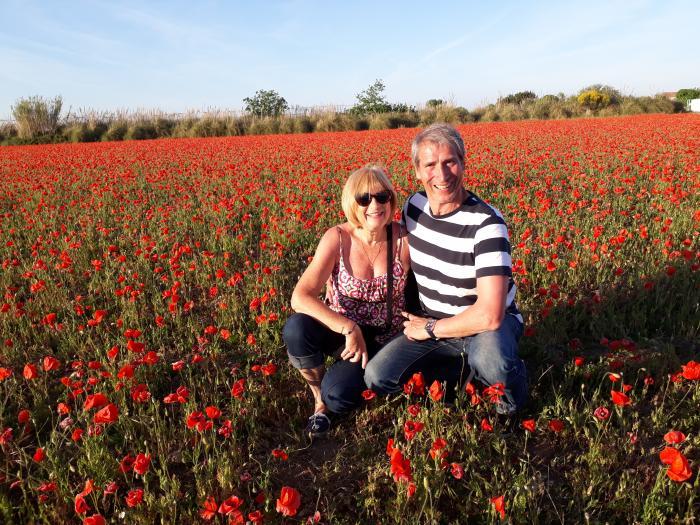 house sitter, France, Decize