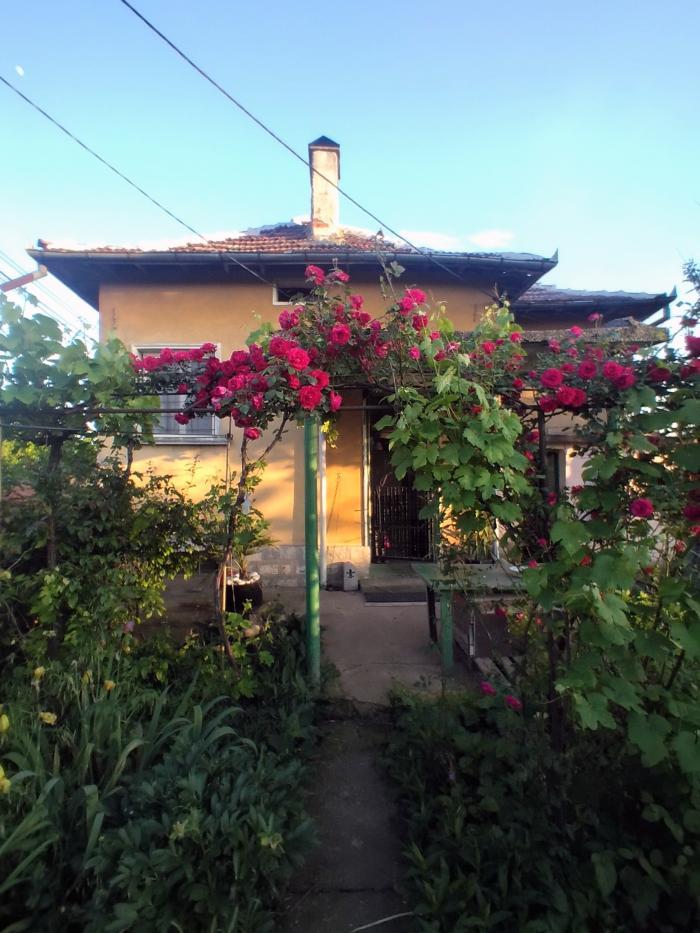 home sitting, Bulgaria, Rogozen
