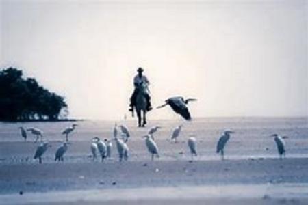 Home sitting Nantes, France