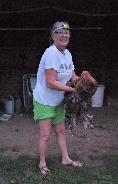 Home sitting Vanves, France