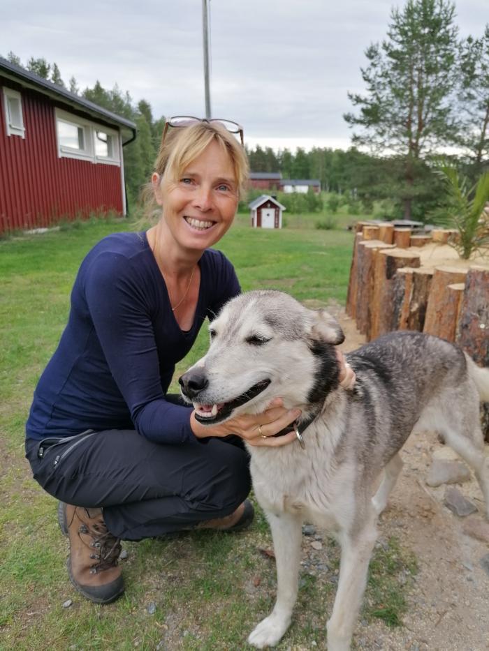 Home sitting Wavre, Belgium