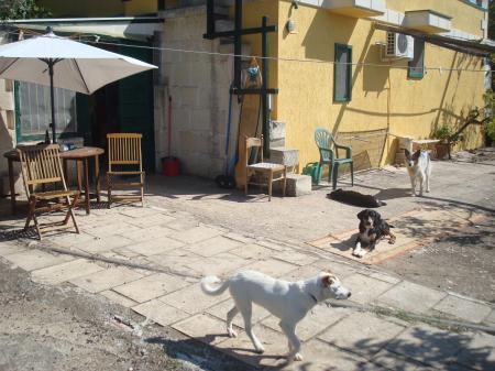 Home sitting Maglie, Lecce , Italy