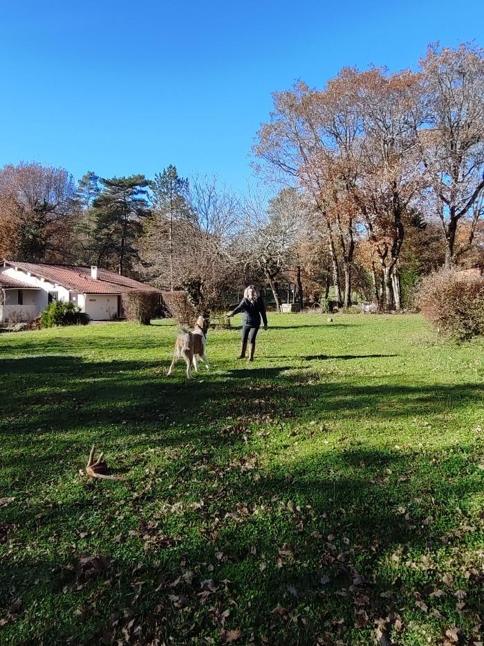Home sitting Tourtoirac, France