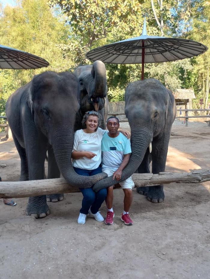 Home sitting Sens, France