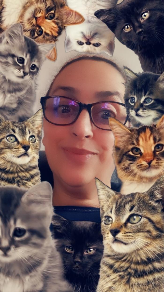 Home sitting Rouen, France