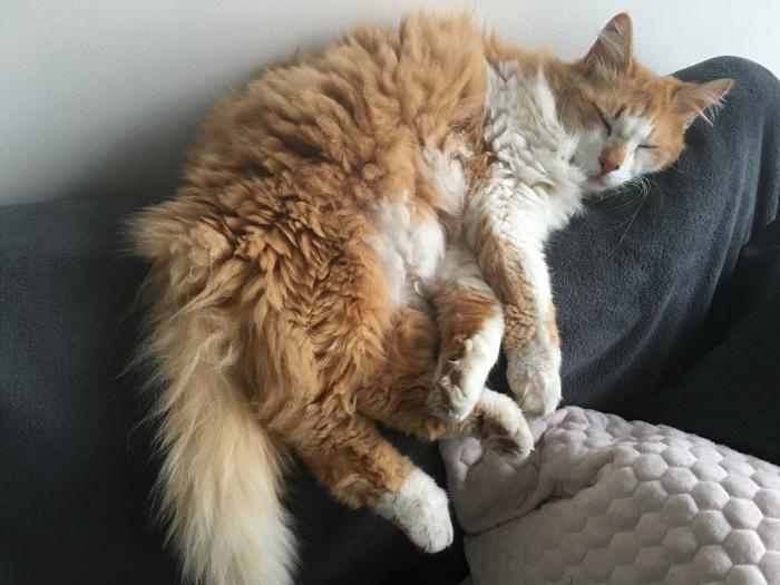 Home sitting Pornic, France