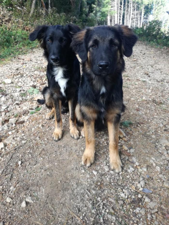 Home sitting Olmet, France