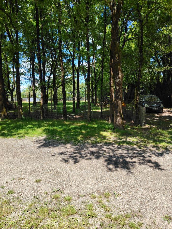 home sitting, France, Venansault