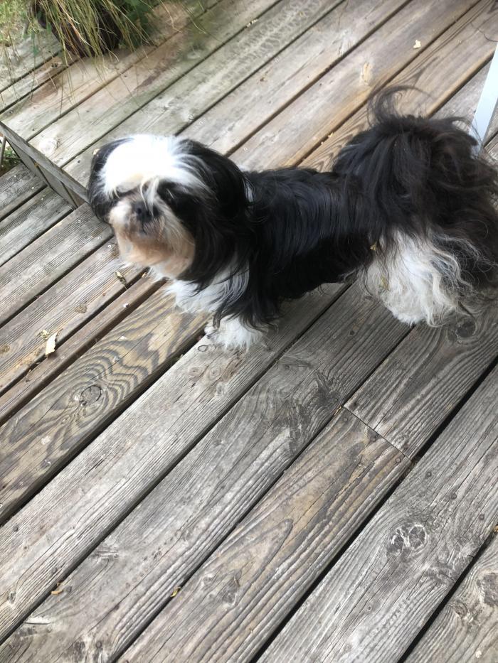 home sitting, France, Villenave-d'Ornon