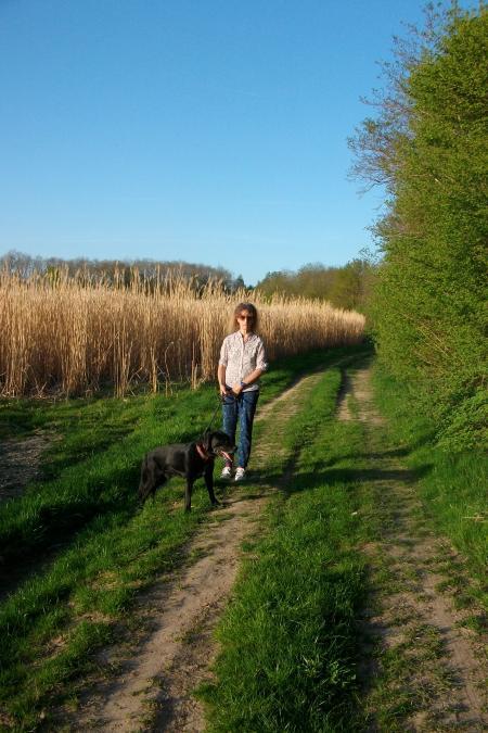 house sitter, France, Frouville