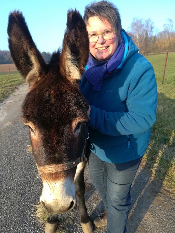 Home sitting Saint-M&eacute;dard, Belgium