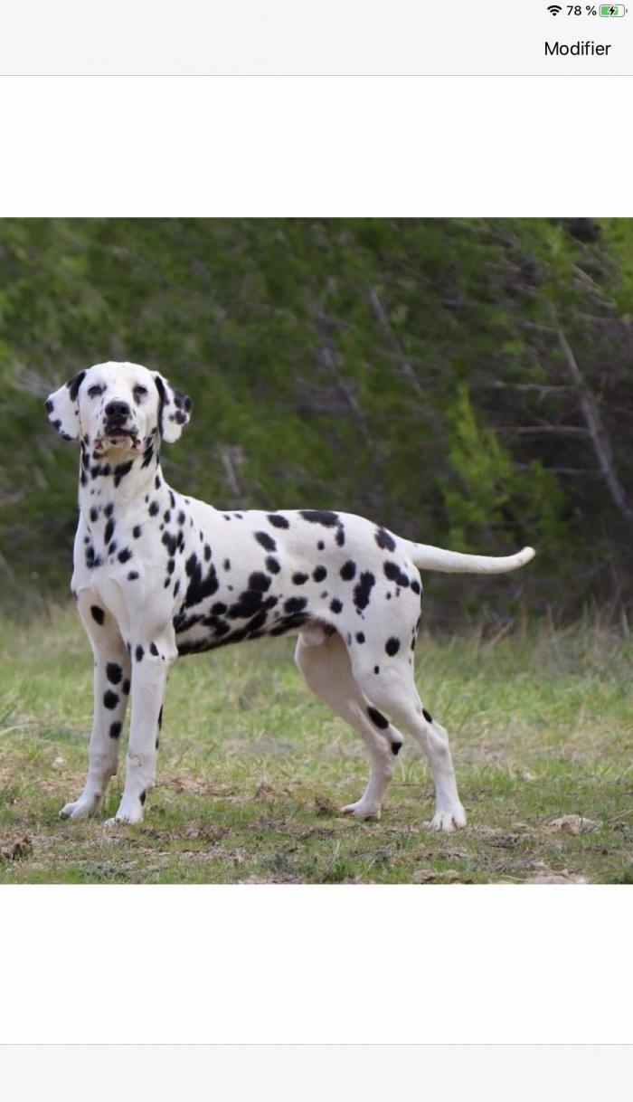 Home sitting Verqui&egrave;res, France