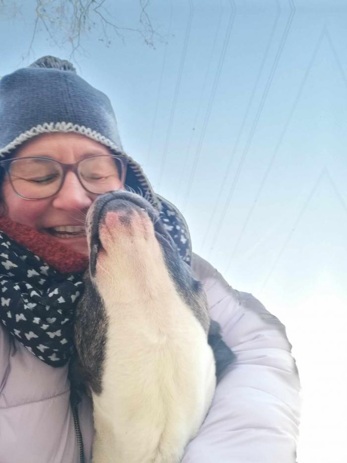 Home sitting Namur, Belgium
