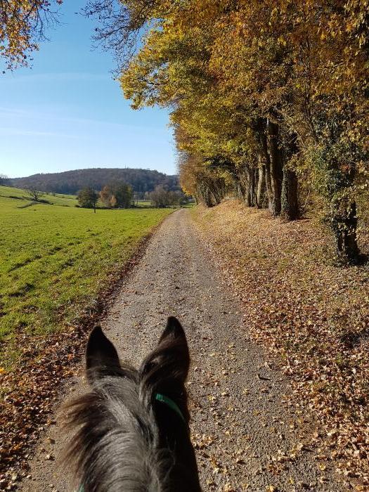 Home sitting Besan&ccedil;on, France